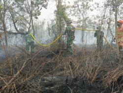 Kodam XIX/Tuanku Tambusai Kerahkan Pasukan Gabungan Padamkan Karhutla di Kampar