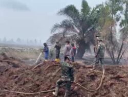 Kodam XIX Tuanku Tambusai Kerahkan 310 Personel Jinakkan Karhutla di Pelalawan, 967,69 Hektare Terbakar