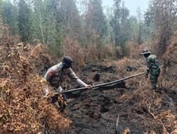 Kodam XIX/Tuanku Tambusai Jaga 966,4 Hektare Lahan Pelalawan dari Potensi Api Kembali Menyala