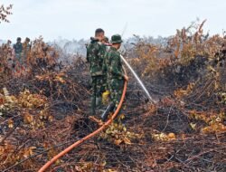 Kodam XIX/Tuanku Tambusai Intensifkan Pendinginan Karhutla 75 Hektare di Inhu
