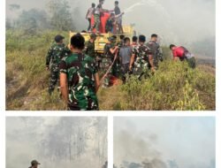 Cepat Tanggap, Satgas Yonif 147/KGJ Padamkan Karhutla di Distrik Meyado