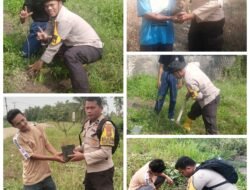 Tanam Pohon Trembesi di Sungai Bakau, Polsek Sinaboi Gencarkan Green Policing