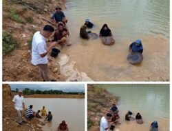 PETI Pulo Padang Ditertibkan, GEMPSU Minta Pemerintah Hadir dengan Solusi*