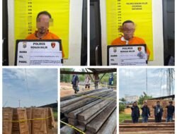 Polres Rokan Hilir tindak tegas Illegalloging di Sinaboi, 2 Tersangka Diamankan, Ratusan Batang Kayu Disita