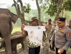 Pamit dari Riau, Komjen Herry Heryawan Titip Pesan Lestarikan Gajah dan Alam