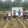 Tanam Jagung Bersama Warga, Polsek Bangko Pusako Tegaskan Ketahanan Pangan Adalah Kesejahteraan Bersama   