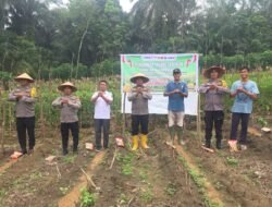 Tanam Jagung Bersama Warga, Polsek Bangko Pusako Tegaskan Ketahanan Pangan Adalah Kesejahteraan Bersama   